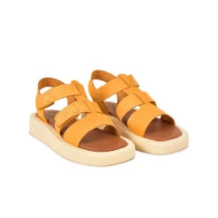 Pataugas ATARI/NU F2I OCRE -Pataugas Promos Boutique SANDALE FEMME ATARI NU F2I OCRE 628448 251 4 0fc7fac9 5088 4f30 8f1a 4cc7a3bacf39